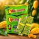 Aam Pachan | Pack of 30 | Dil Khush Candy