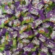 Kaala Jadoo Zelly | Pack of 20 | Dil Khush Candy